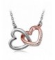 QIANSE Necklaces Hypoallergenic Anniversary Girlfriend