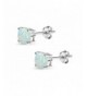 Women's Stud Earrings